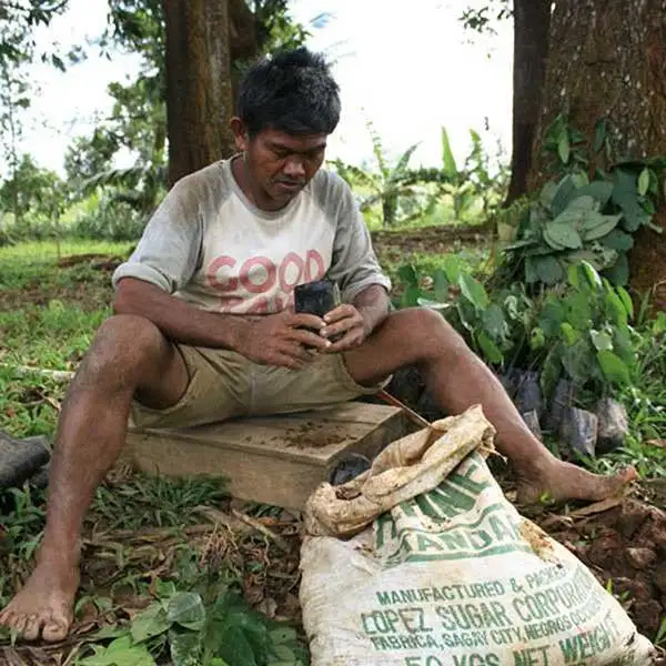 La reforestación es uno de los pilares del proyecto de Life-Giving Forest. La reforestación es uno de los pilares del proyecto de Life-Giving Forest.