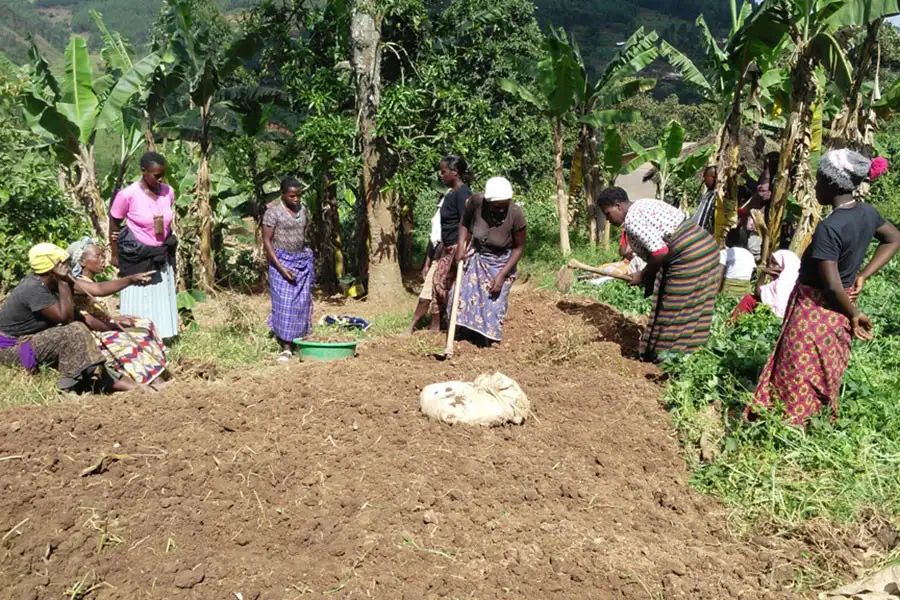 GWEFODE también ofrece cursos de formación en jardinería ecológica